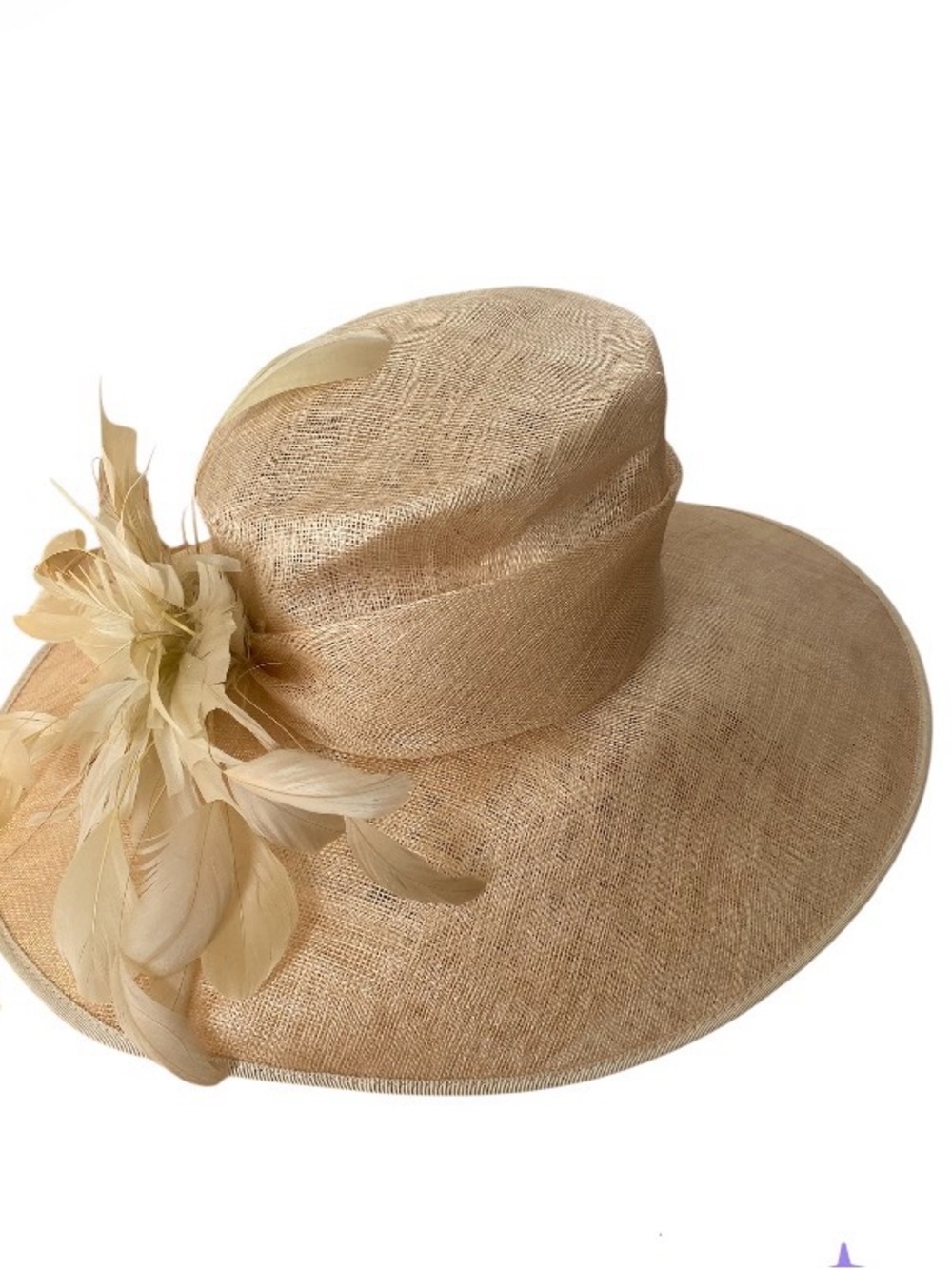 Champagne Wide Brim feathers Kentucky Derby ,garden party elegant hat.